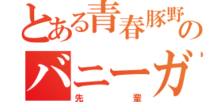 とある青春豚野郎のバニーガール（先輩）