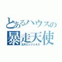 とあるハウスの暴走天使（玉井エンジェルス）