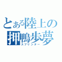 とある陸上の押鴨歩夢（スプリンター）