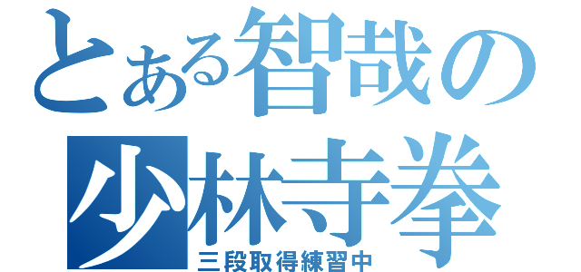 とある智哉の少林寺拳法（三段取得練習中）