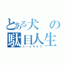 とある犬の駄目人生（ニートライフ）