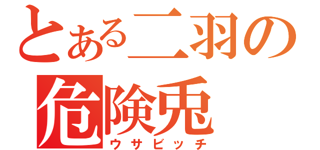 とある二羽の危険兎（ウサビッチ）