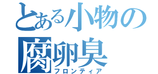 とある小物の腐卵臭（フロンティア）