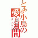 とある小鳥の愛鳥週間（ラブ・ストレート）