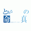 とある夢歷の命運鈴真（ＤＥＳＴＩＮＹ）