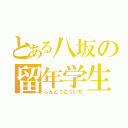 とある八坂の留年学生（しんどうこういち）