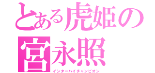 とある虎姫の宮永照（インターハイチャンピオン）