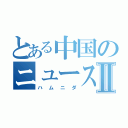 とある中国のニュース報道Ⅱ（ハムニダ）