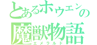 とあるホウエンの魔獣物語（エメラルド）