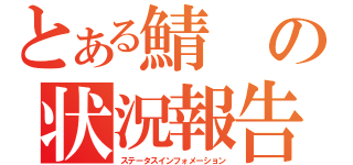 とある鯖の状況報告（ステータスインフォメーション）