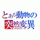 とある動物の突然変異（メタモルフォーゼ）