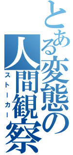 とある変態の人間観察（ストーカー）