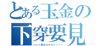 とある玉金の下穿要見（パンツ見せろオラァッ！！）