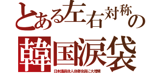 とある左右対称の韓国涙袋（日本議員役人役者役員に大増殖）