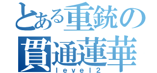 とある重銃の貫通蓮華（ｌｅｖｅｌ２）