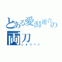 とある愛潟連合の両刀（しゅうへい）