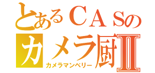 とあるＣＡＳのカメラ厨Ⅱ（カメラマンベリー）