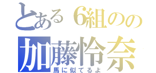 とある６組のの加藤怜奈（馬に似てるよ）