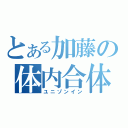 とある加藤の体内合体（ユニゾンイン）