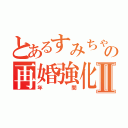 とあるすみちゃんの再婚強化Ⅱ（年間）