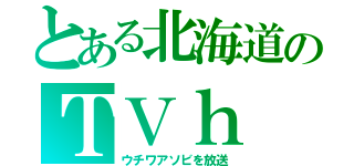 とある北海道のＴＶｈ（ウチワアソビを放送）