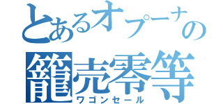 とあるオプーナの籠売零等（ワゴンセール）