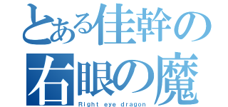 とある佳幹の右眼の魔物（Ｒｉｇｈｔ ｅｙｅ ｄｒａｇｏｎ）