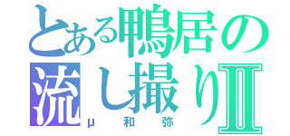 とある鴨居の流し撮りⅡ（μ和弥）