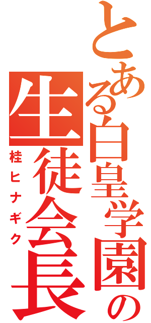 とある白皇学園の生徒会長（桂ヒナギク）