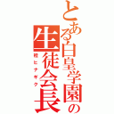 とある白皇学園の生徒会長（桂ヒナギク）