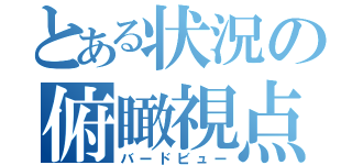 とある状況の俯瞰視点（バードビュー）