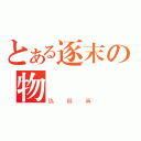 とある逐末の物語（偽與真）