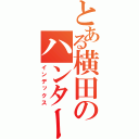 とある横田のハンター目録（インデックス）