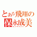 とある飛翔の保永成美（コンヤクシャ）