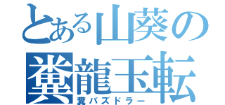 とある山葵の糞龍玉転がし（糞パズドラー）