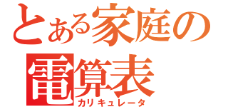 とある家庭の電算表（カリキュレータ）