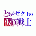 とあるゼクトの仮面戦士（カブト）