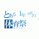 とある１年６組の体育祭（コバッシー）