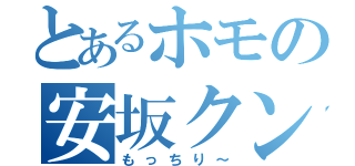 とあるホモの安坂クン（もっちり～）