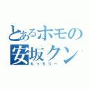 とあるホモの安坂クン（もっちり～）