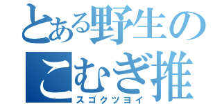 とある野生のこむぎ推（スゴクツヨイ）