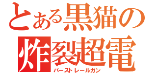 とある黒猫の炸裂超電磁砲（バーストレールガン）