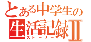 とある中学生の生活記録Ⅱ（ストーリー）