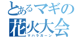 とあるマギの花火大会（マハラガーン）