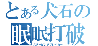 とある犬石の眠眠打破（スリーピングブレイカー）
