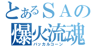 とあるＳＡの爆火流魂（バッカルコーン）