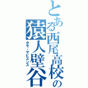 とある西尾高校の猿人壁谷（ホモ・サピエンス）