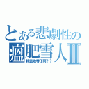 とある悲劇性の瘟肥雪人Ⅱ（精靈幾等了阿？？）