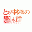 とある林檎の端末群（ｉＰｈｏｎｅ）