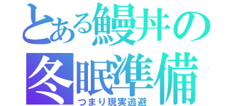 とある鰻丼の冬眠準備（つまり現実逃避）